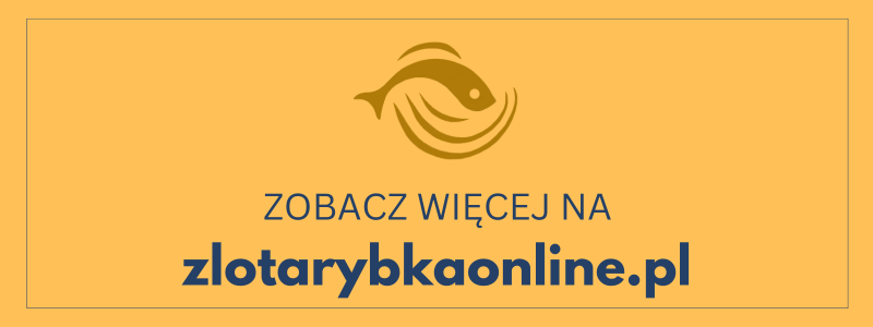 Related Top zlotarybkaonline.pl m-300x800 d-300x300